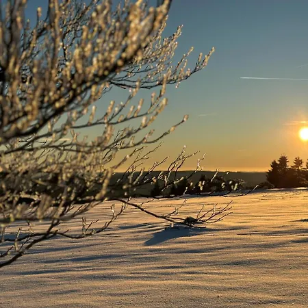 Sauerland An Der Ruhr Appartement *