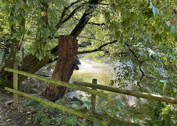 Lejlighed Sauerland An Der Ruhr