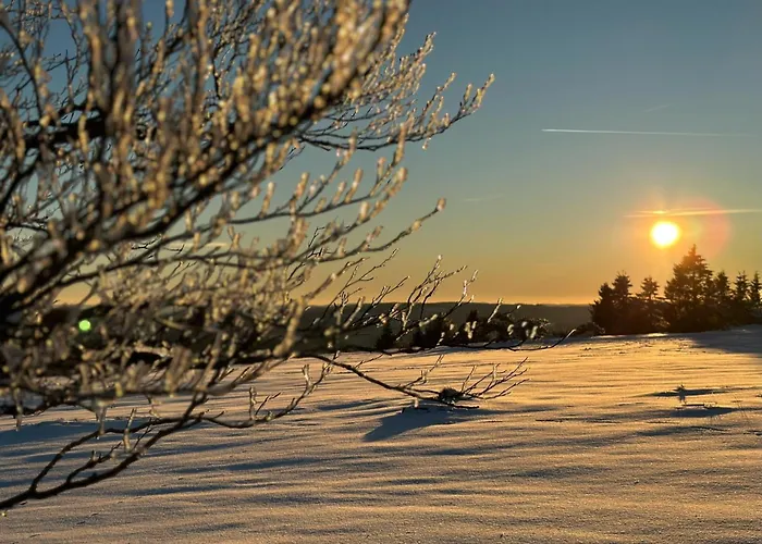 Sauerland An Der Ruhr Lejlighed *