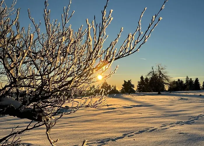Apartman Sauerland An Der Ruhr Olsberg